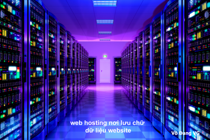web-hosting-noi-luu-chu-du-lieu-website
